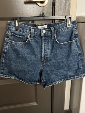 Agolde Parker Denim Long Short Enamour